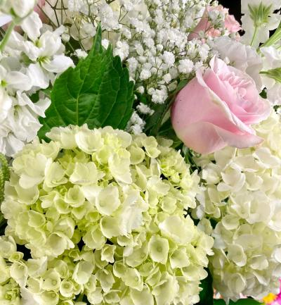 Designers Choice Pastel Colors