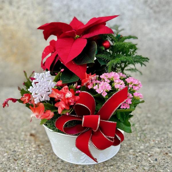 Holiday Planter
