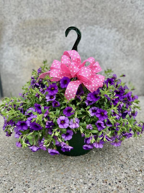 Petunia Hanging Basket