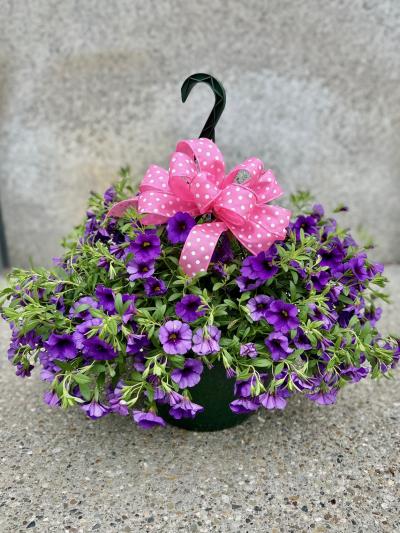 Petunia Hanging Basket