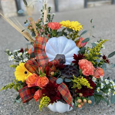 White Ceramic Pumpkin Arrangement